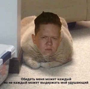 Create meme: people, fat cat is crying, fat cat