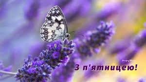 Create meme: a white butterfly sits on lavender, lavender flowers, lilac butterflies