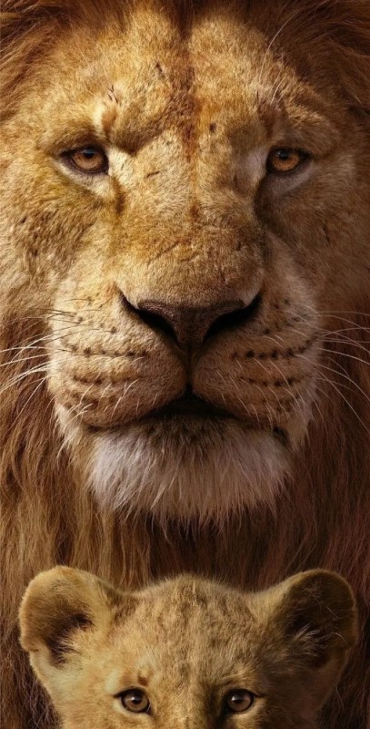 Create meme: the lion king movie 2019, lion simba, Leo 