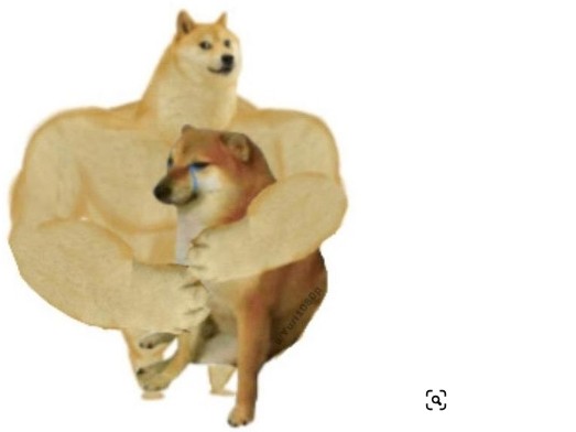 Создать мем: мем пес качок, доге качок, doge meme качок