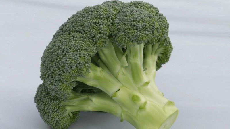 Create meme: broccoli, broccoli, broccoli bathory cabbage