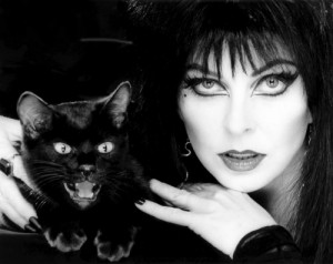 Create meme: black cat, MAG Elvira dark contacts, black and white cat