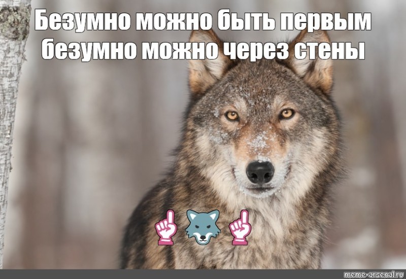 Создать мем: волк не волк, волк одиночка мем, волк одиночка
