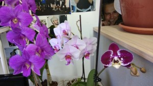 Создать мем: orchids, орхидея фаленопсис, фаленопсис solid gold