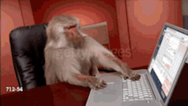 Создать мем: обезьяна с ноутбуком, обезьяна за компьютером, обезьяна за пк