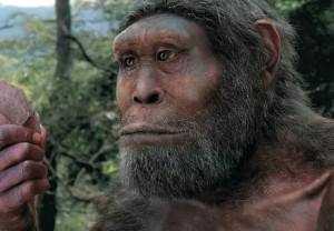 Create meme: Neanderthal, Homo erectus, Homo habilis