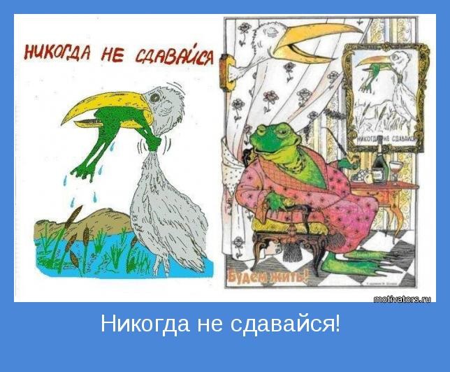 Create meme: Never give up frog, never give up frog and heron, frog and stork never give up