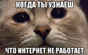 Создать мем: кот, текст, когда ты грустишь в мире грустит один котик