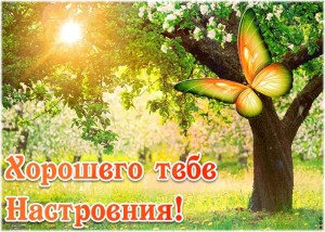 Create meme: beautiful nature, spring nature, spring