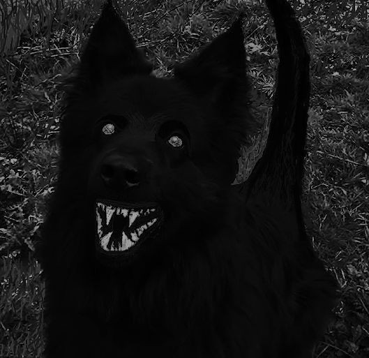 Create meme: The Carpathian wolf is black, fearful dog , kripipasta 's dog