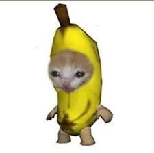 Создать мем: кот бананчик, banana cat, котенок банан
