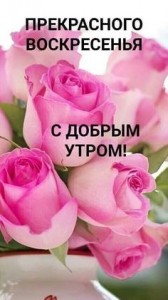 Create meme: flowers roses, flowers roses pink, pink roses