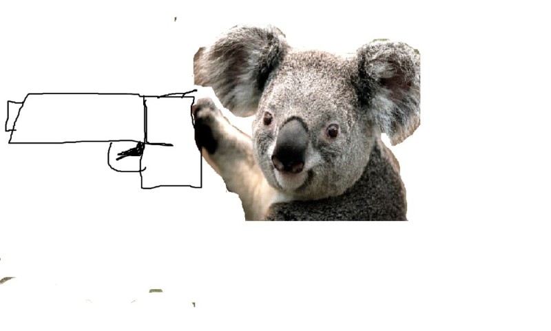 Create meme: koala psd, remove the background online, koalas