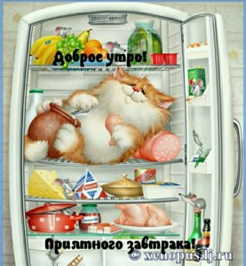 Создать мем: иллюстрация кошка, холодильник, кот в холодильнике