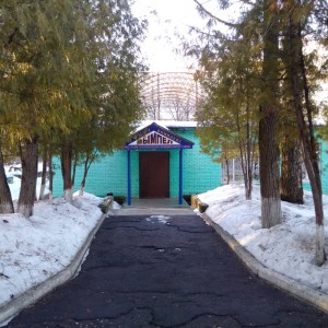 Create meme: Central Park winter Novosibirsk, photos of camp forest lake, Arshan accommodation