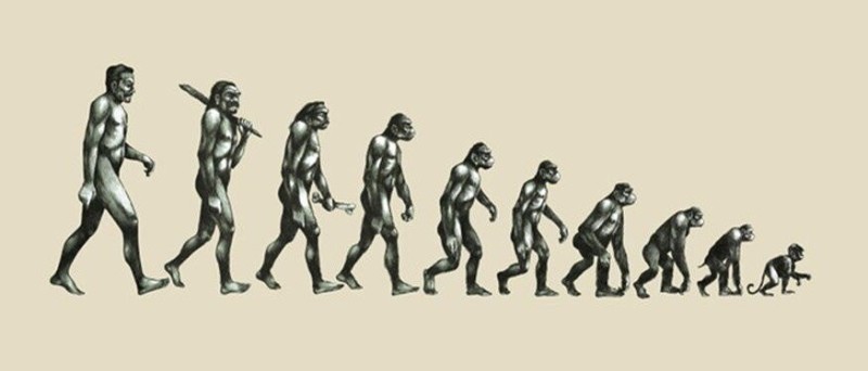 Create meme: the degradation of modern man, human evolution, the theory of evolution 