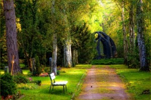 Create meme: cemetery, the funeral, funeral forest