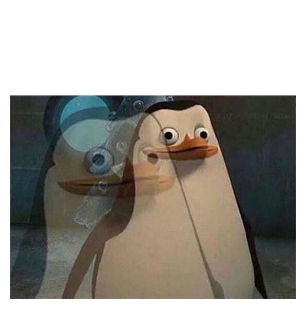 Create meme: penguin , memes , the penguins of Madagascar 