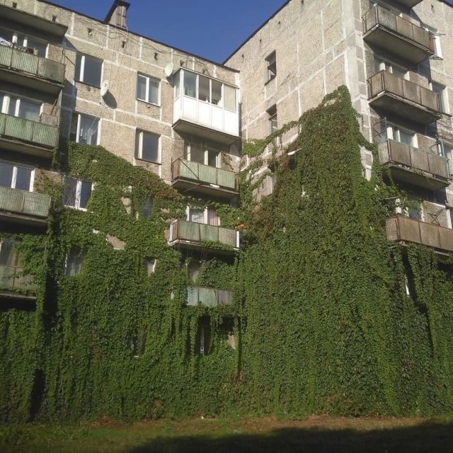 Create meme: maiden grapes, maiden grapes tri-pointed, house with green balconies