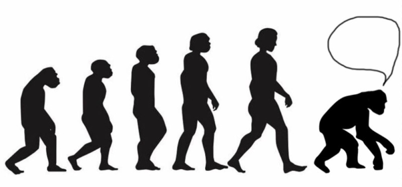 Create meme: evolution , human evolution , evolution 