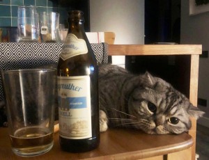 Create meme: drinking cat grief in the family, cat with a bottle, drinking cat