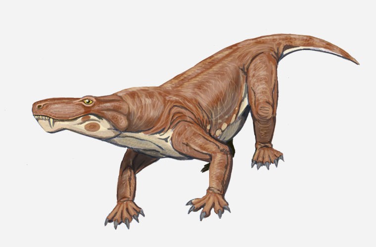 Create meme: Scylacosaurus, ichthyostegs and stegocephals, ravizuhia of the Triassic period
