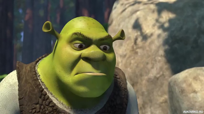Create meme: Shrek , shrek 2d, angry Shrek