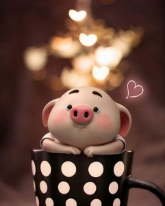 Create meme: cute pig, cute, good night good morning