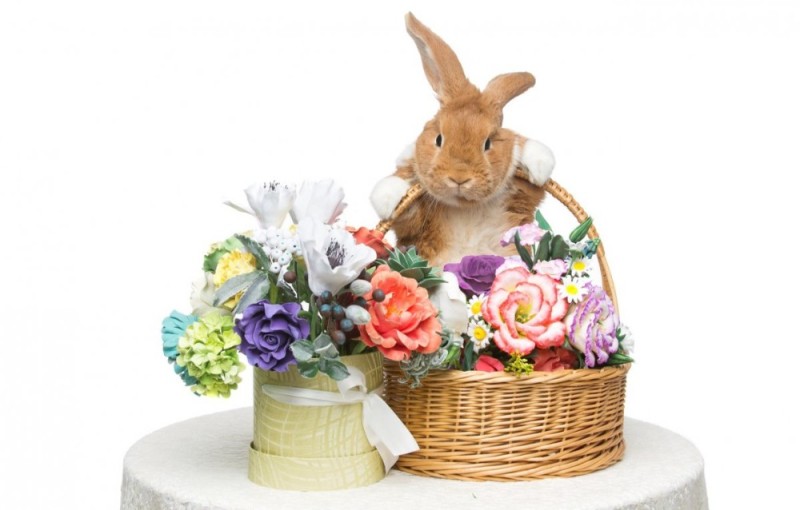 Создать мем: кролик с днем рождения, кролики в корзинке с цветами, зайчик с цветами