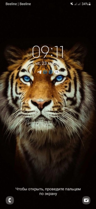 Создать мем: морда тигра, тигр на черном фоне, тигр красивый