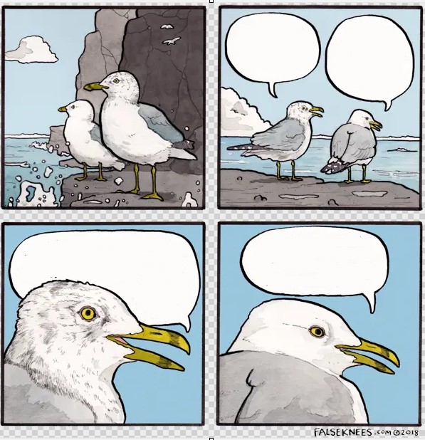 Create meme: Seagull funny, Seagull bird, funny comics 