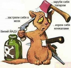 Create meme: author drink yadu, cat, drink yadu