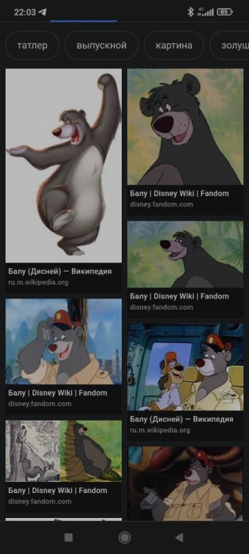 Create meme: Baloo bear wonders on bends, Baloo wonders on bends, Mowgli's ball and miracles on bends