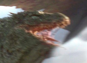 Create meme: Godzilla king of the monsters, cat, alligator crocodile