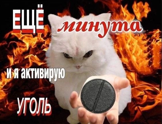 Create meme: white cat meme, The burning fart, angry kitty