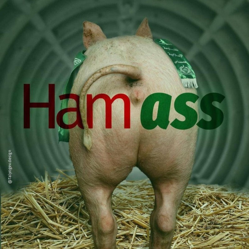 Создать мем: чума свиней, свинья красивая, животные свинья