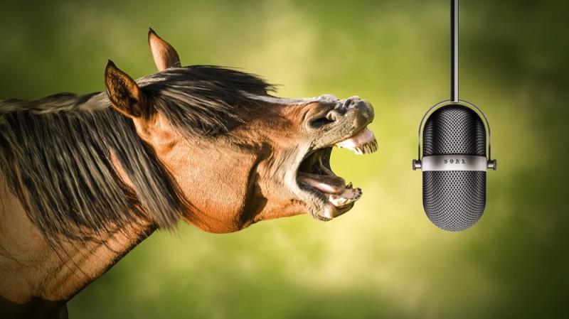 Create meme: a horse with a microphone, the neighing of horses, text 