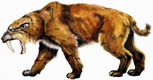 Create meme: smilodon, saber-toothed tiger and cave bear, Sabretooth