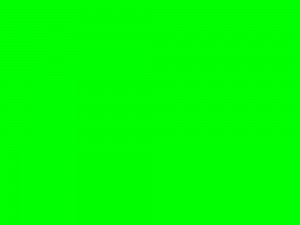 Создать мем: зеленый лайм, зеленый цвет хромакей, зелёный фон