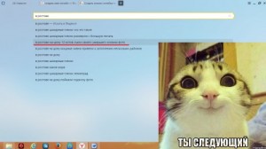 Create meme: create meme, meme cat, memes