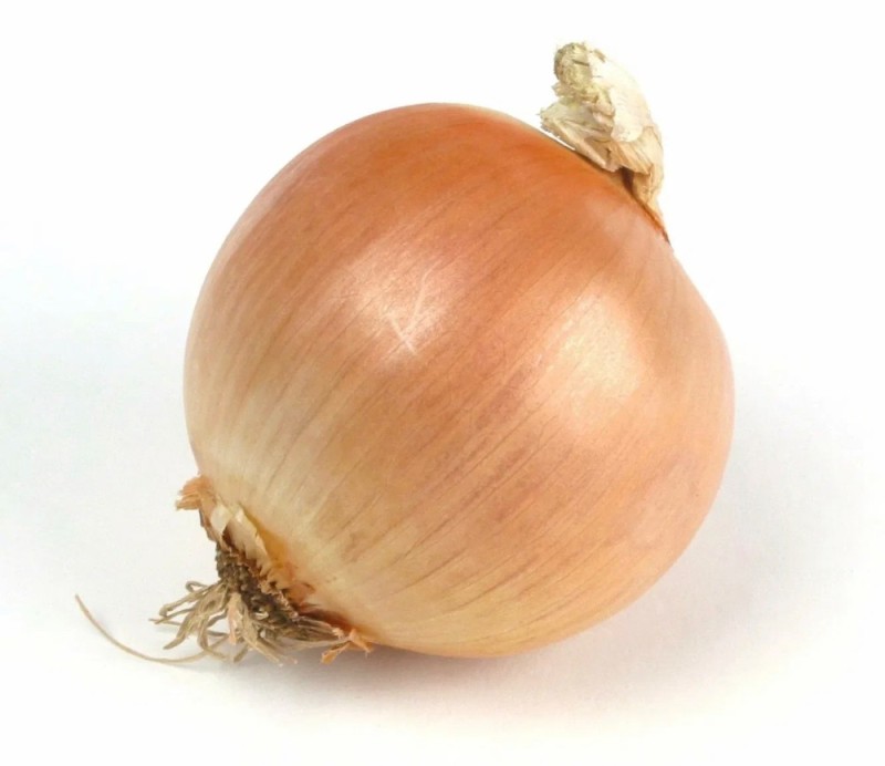 Create meme: onion, onion on a white background, bow 