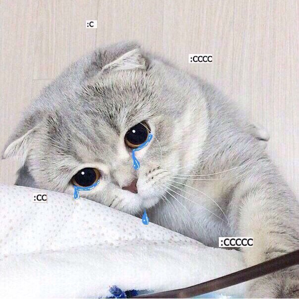 Создать мем: грустная киса, грустный котик, кот с грустными глазами