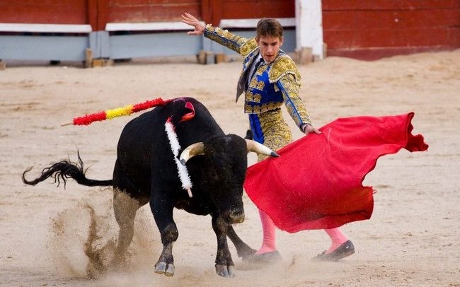 Создать мем: испания коррида быки, красный бык коррида, испанская коррида