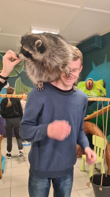Create meme: enotik , raccoons , pet raccoon