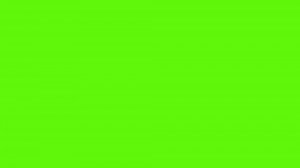 Создать мем: green color, неоновый салатовый, зеленый фон