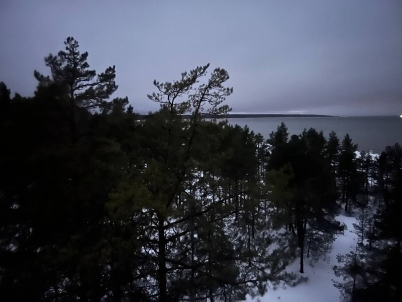 Create meme: view of the Gulf of Finland, darkness, gulf of finland pine forest