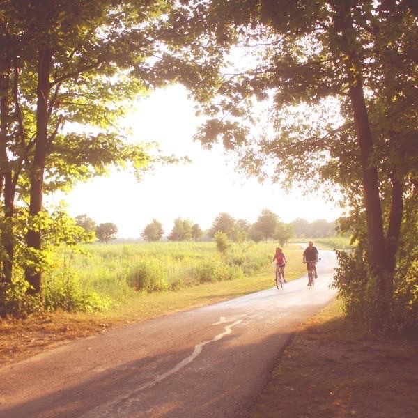 Create meme: darkness, road , the beauty of nature