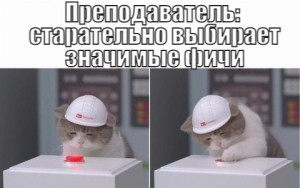 Create meme: sad cat, the cat in helmet, cat in a helmet