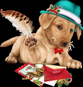 Создать мем: собака с письмом, открытка для друга исходник, собаки милые