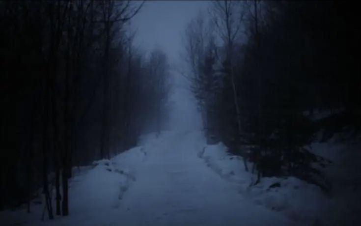 Создать мем: лес туман, зима дорога фонари, темнота